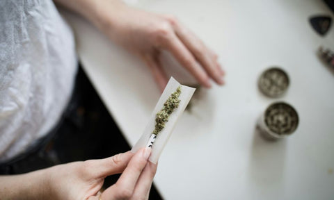 What Are Hemp Papers? 5 Facts