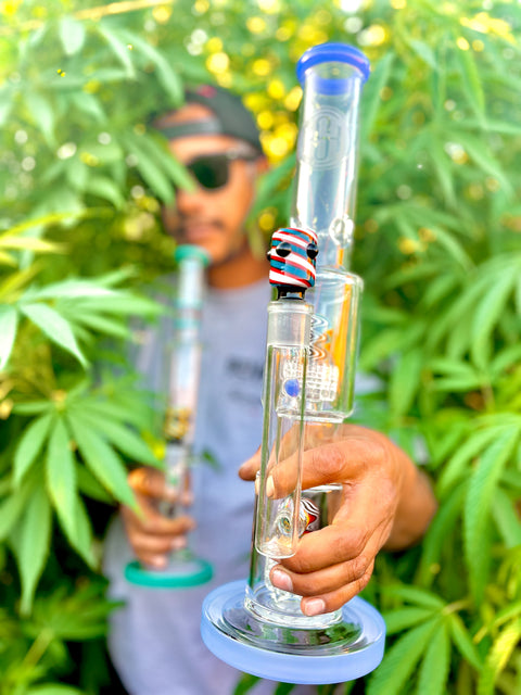 Dry Herb Water Pipes